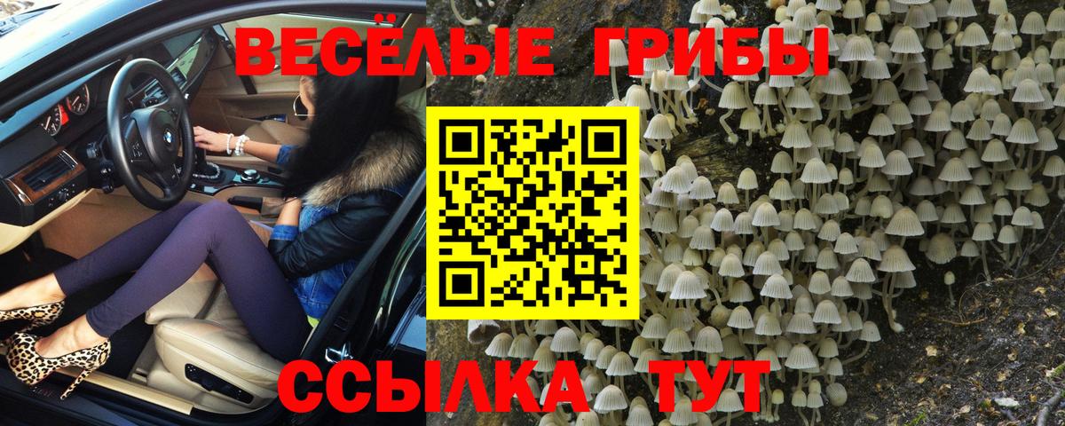 Нижневартовск  Галлюциногенные грибы Psilocybe  Вход с VPN 